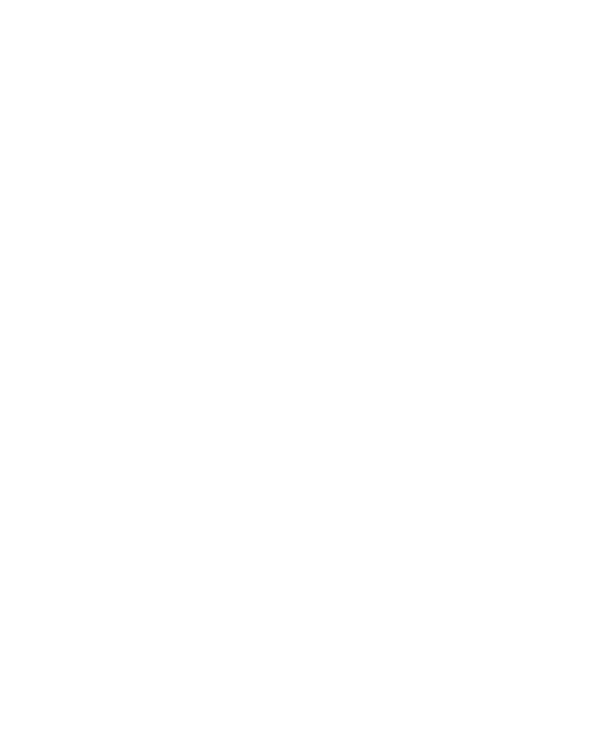 De RUGspecialist bv